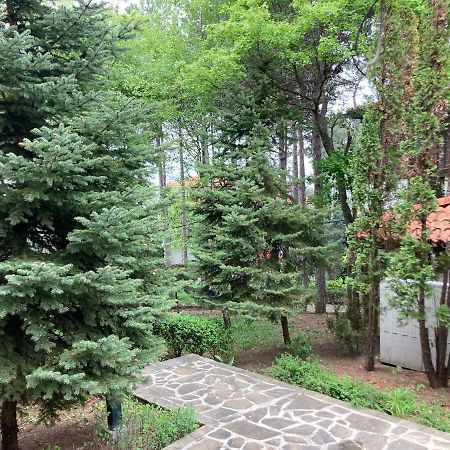 Lovely Apartment Santa Marina Sozopol Luaran gambar