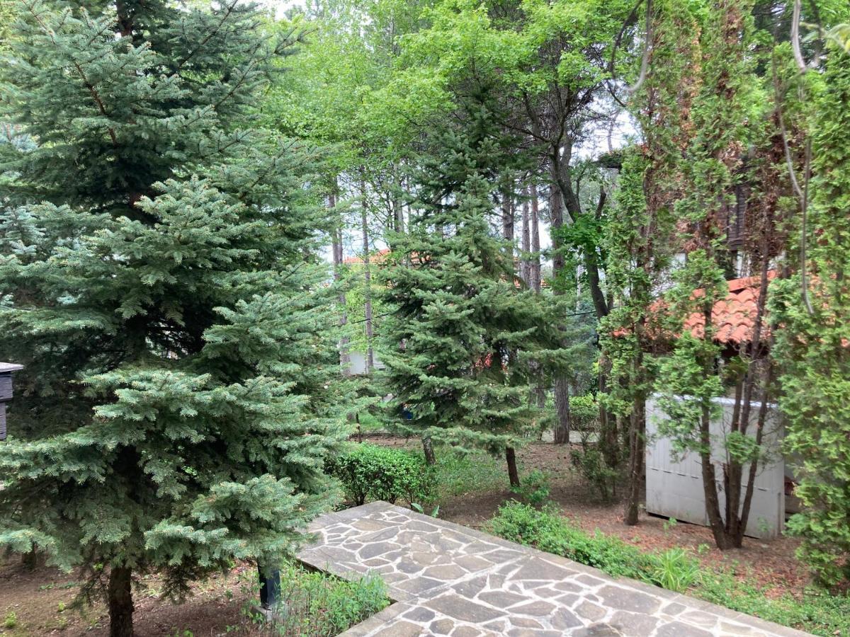 Lovely Apartment Santa Marina Sozopol Luaran gambar